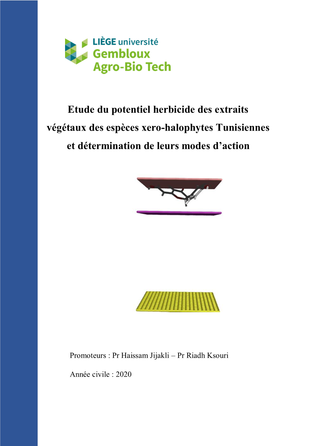 Etude Du Potentiel Herbicide Des Extraits Végétaux Des Espèces Xero-Halophytes Tunisiennes Et Détermination De Leurs Modes D’Action