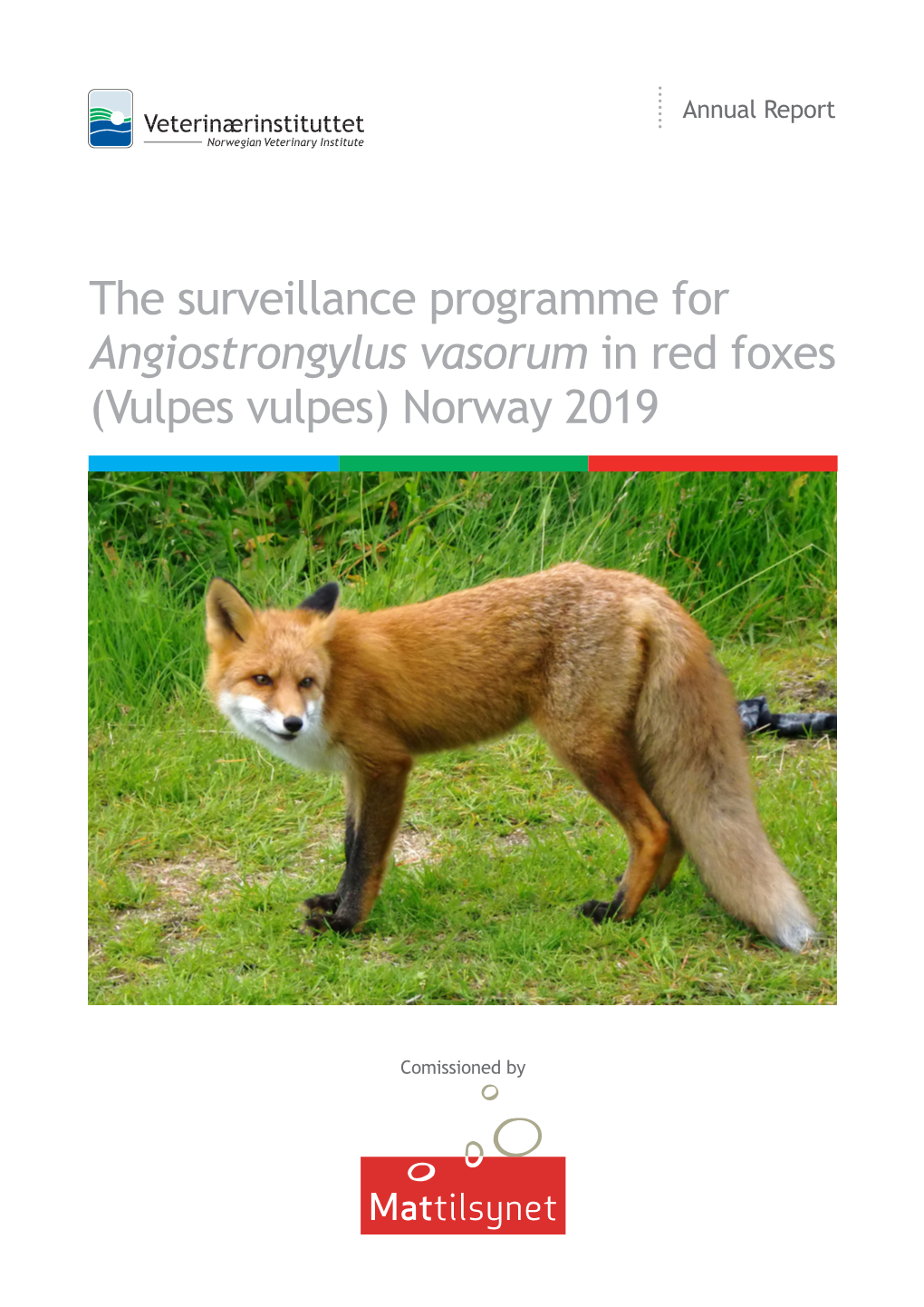 Angiostrongylus Vasorum in Red Foxes 2019