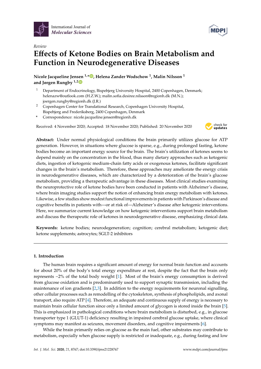 Effects of Ketone Bodies on Brain Metabolism and Function In