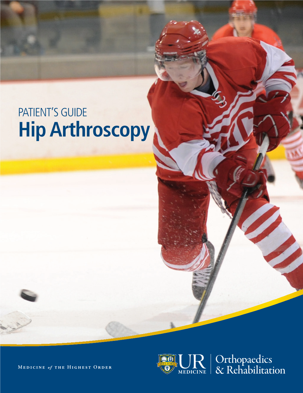 Hip Arthroscopy TABLE of CONTENTS