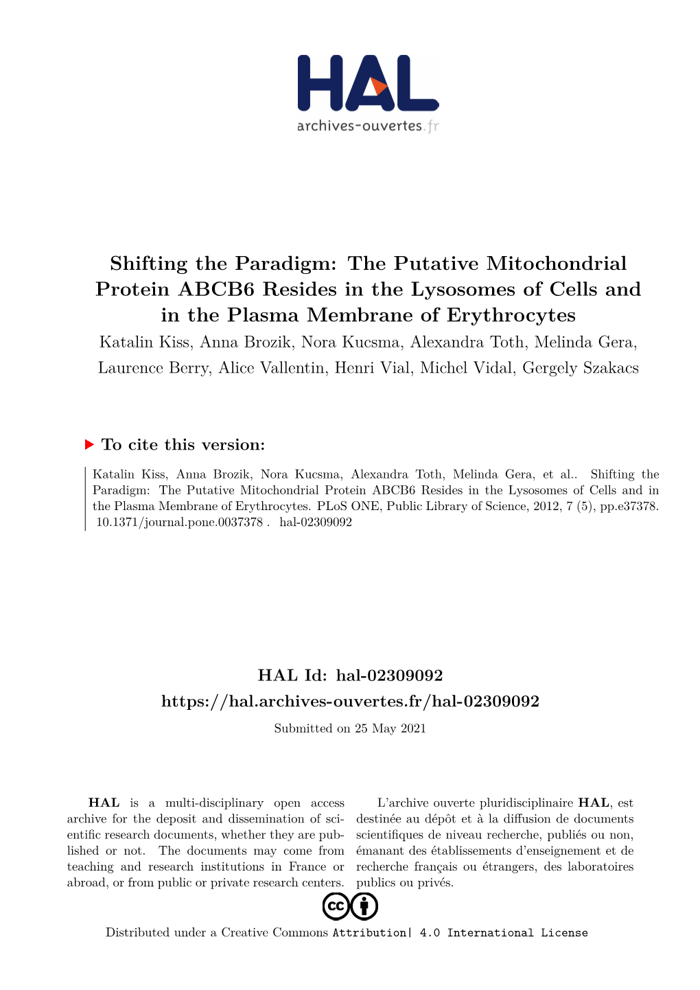 The Putative Mitochondrial Protein ABCB6