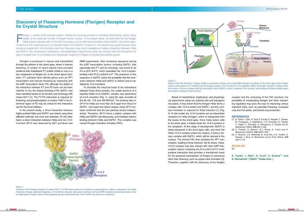 Discovery of Flowering Hormone (Florigen) Receptor and Its Crystal Structure