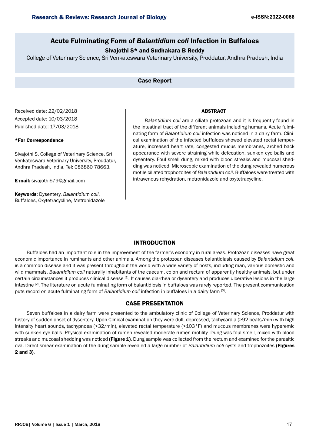 Acute Fulminating Form of Balantidium Coli Infection in Buffaloes