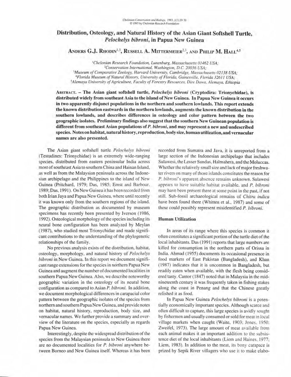 Distribution, Osteology, and Natural History of the Asian Giant Softshelt Turtle, Pelochelys Bibroni, in Papua New Guinea