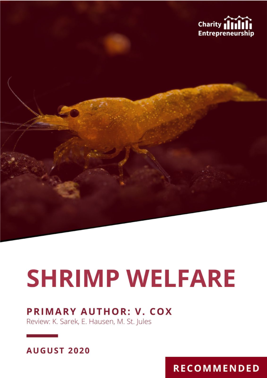 Shrimp Welfare (2020 Recommended Idea)