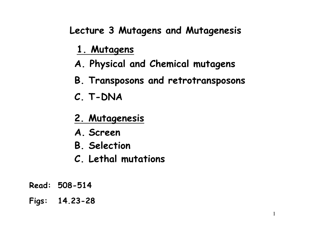 Lecture 3 Mutagens and Mutagenesis A. Physical and Chemical