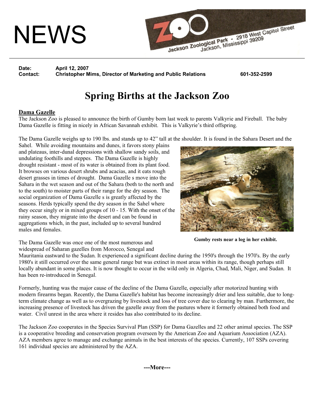 Spring Births at the Jackson Zoo