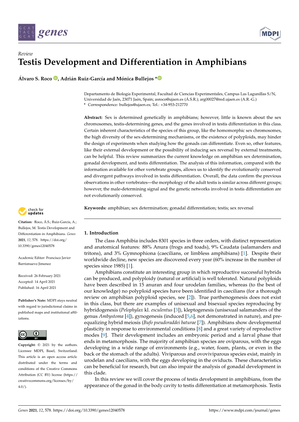 Testis Development and Differentiation in Amphibians