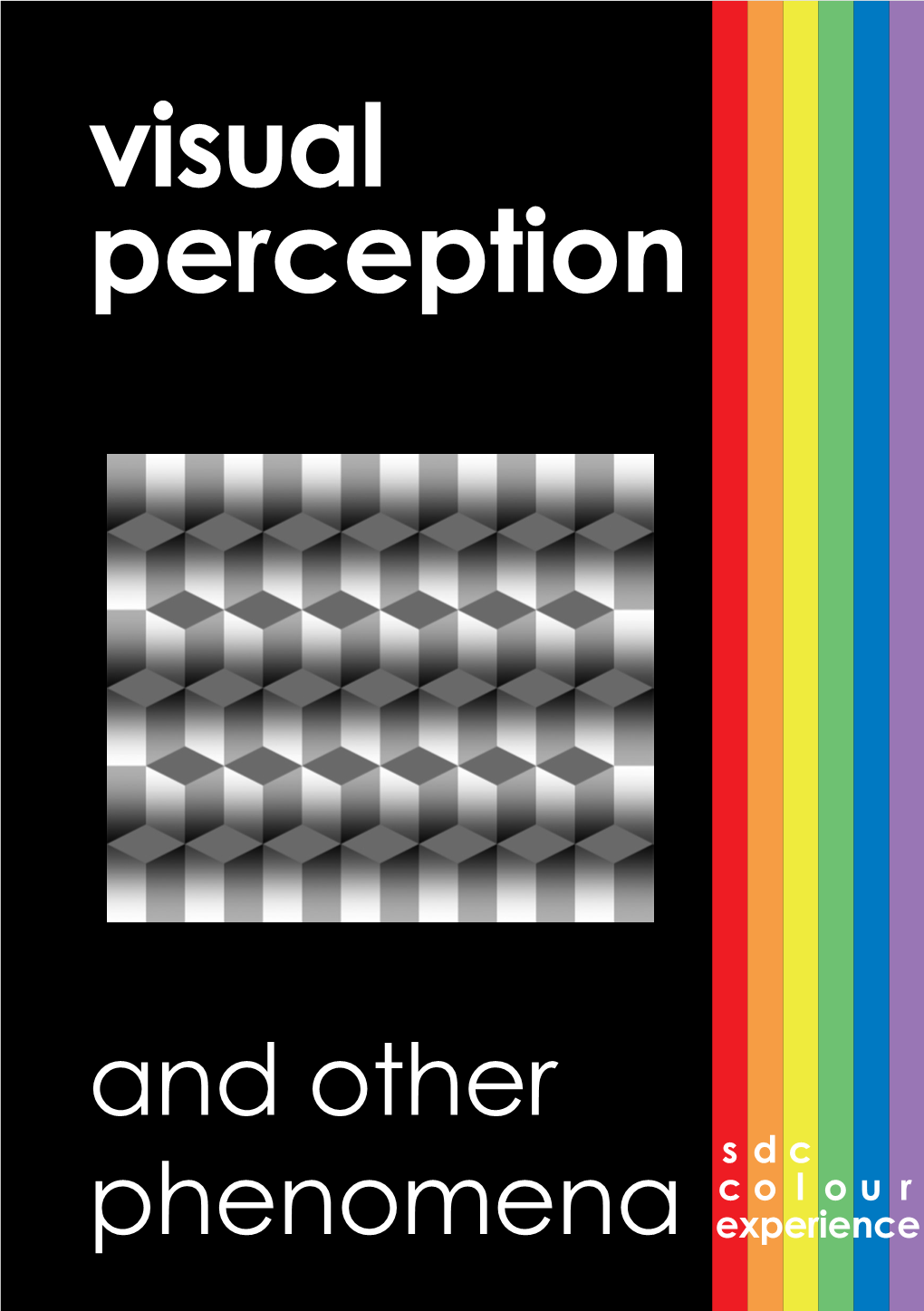 Visual Perception