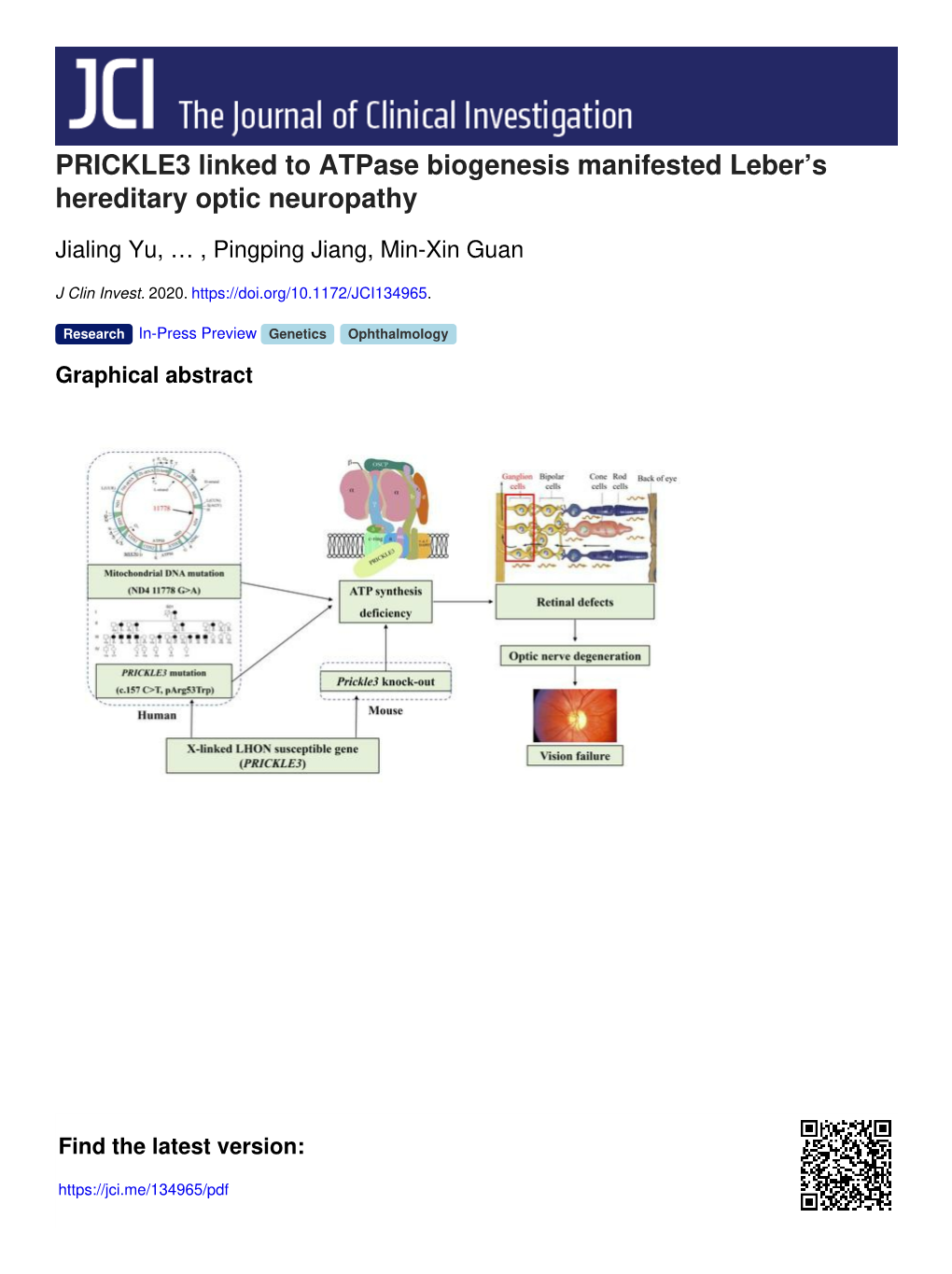 PRICKLE3 Linked to Atpase Biogenesis Manifested Leber's Hereditary Optic Neuropathy