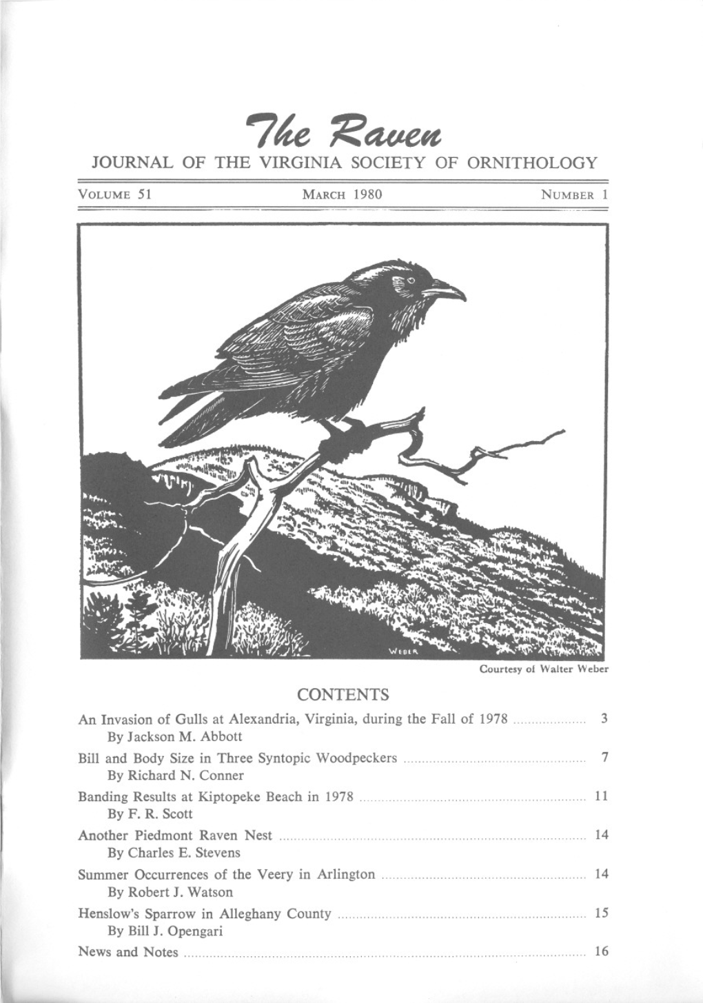 7~ ~Ewe" JOURNAL of the VIRGINIA SOCIETY of ORNITHOLOGY MARBLED GODWIT in SPRING