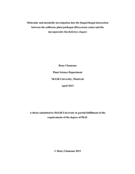 Molecular and Metabolic Investigation Into the Fungal-Fungal Interaction