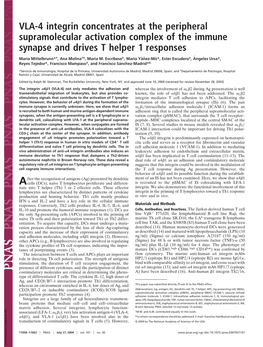 VLA-4 Integrin Concentrates at the Peripheral Supramolecular Activation Complex of the Immune Synapse and Drives T Helper 1 Responses