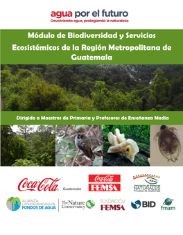 Módulo De Biodiversidad Y Servicios Ecosistémicos De La Región Metropolitana De Guatemala