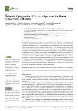 Molecular Cytogenetics of Eurasian Species of the Genus Hedysarum L