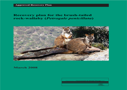Recovery Plan for the Brush-Tailed Rock-Wallaby (Petrogale Penicillata)