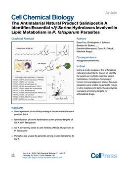 Serine Hydrolases Involved in Lipid Metabolism in P