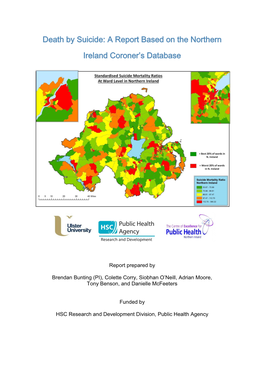 Death by Suicide: a Report Based on the Northern Ireland Coroner's