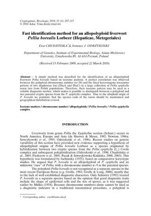 Hepaticae, Metzgeriales)