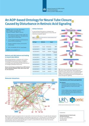 An AOP-Based Ontology for Neural Tube Closure Caused by Disturbance in Retinoic Acid Signaling