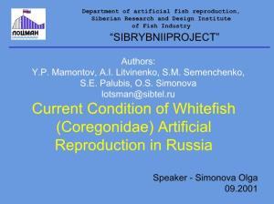 (Coregonidae) Artificial Reproduction in Russia