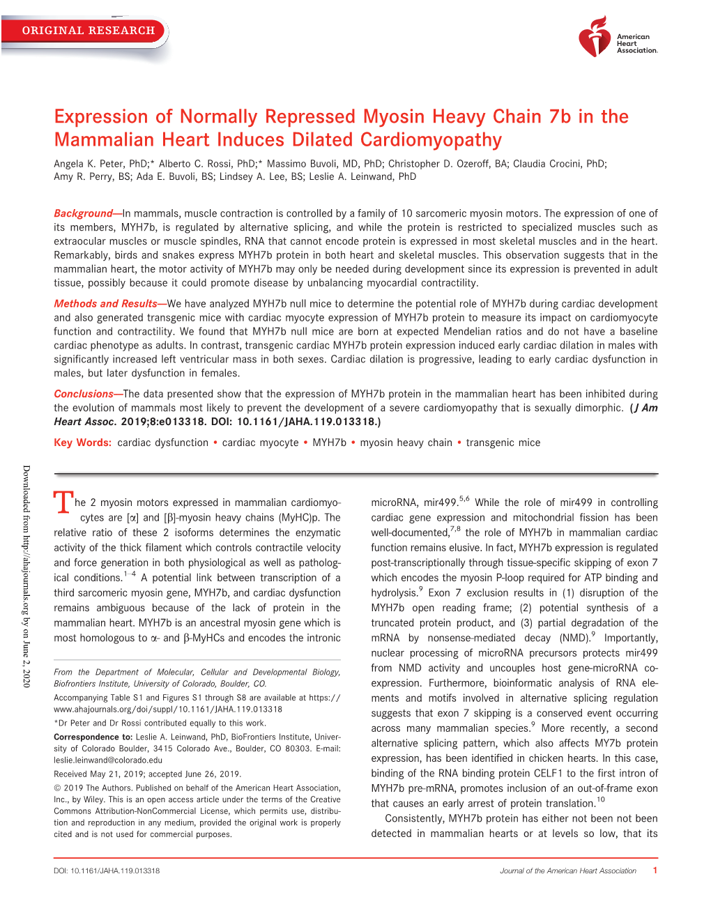 Expression of Normally Repressed Myosin Heavy Chain 7B in the Mammalian Heart Induces Dilated Cardiomyopathy Angela K