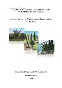 Evolução De Cereus Hildmannianus (Cactaceae) No Sul Do Brasil