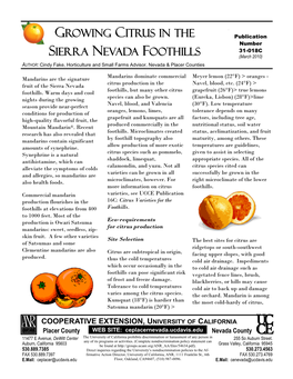 Growing Citrus in the Sierra Nevada Foothills