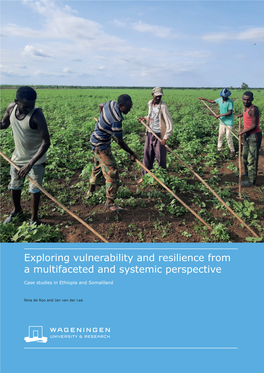 Exploring Vulnerability and Resilience from a Multifaceted and Systemic Perspective