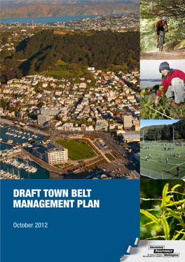 Draft Town Belt Management Plan