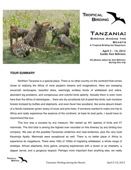 Tanzania: Birding Among the Beasts a Tropical Birding Set Departure