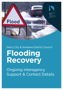 Derry City & Strabane District Council