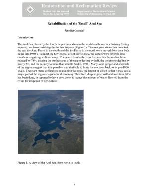 Rehabilitation of the 'Small' Aral Sea