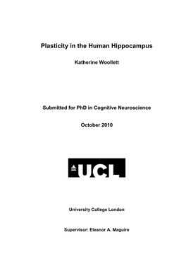 Plasticity in the Human Hippocampus