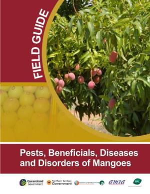 Field Guide to Pests, Beneficials, Diseases and Disorders of Mangoes