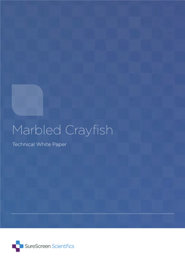 Marbled Crayfish