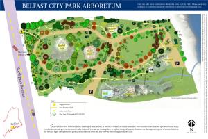 BELFAST CITY PARK ARBORETUM Feedback Or Comments About the Arboretum to Greenwayscenter@Gmail.Com