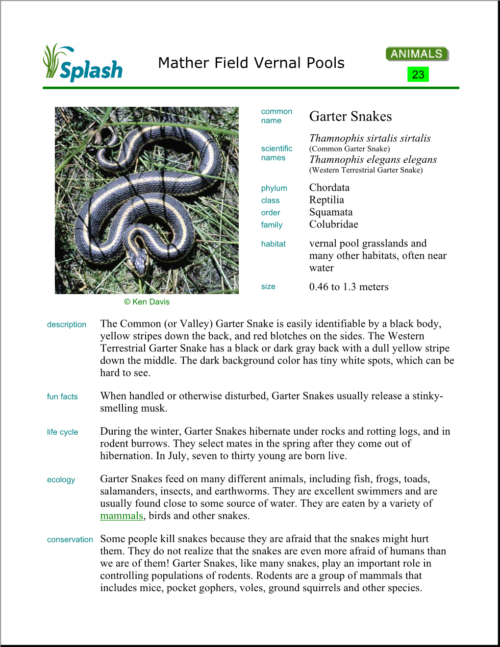 Mather Field Vernal Pools Garter Snakes