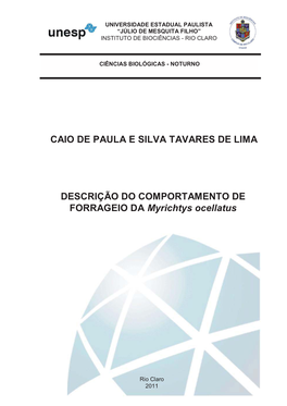 Caio De Paula E Silva Tavares De Lima Descrição Do