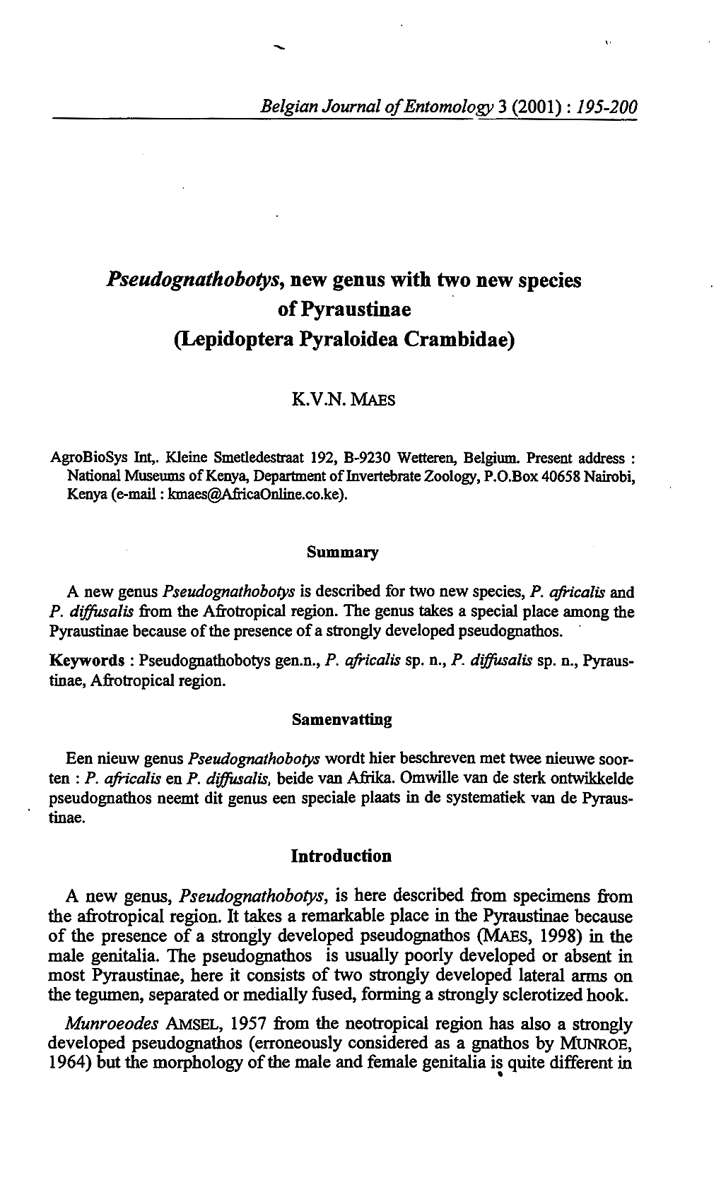 Pseudognathobotys, New Genus with Two New Species of Pyraustinae (Lepidoptera Pyraloidea Crambidae)
