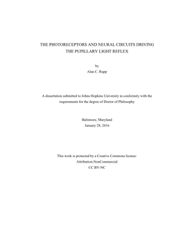 The Photoreceptors and Neural Circuits Driving the Pupillary Light Reflex