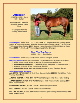 Attencion 5176974 – 2008 – Sorrel N/H - Stallion