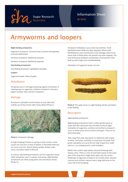 Armyworms and Loopers