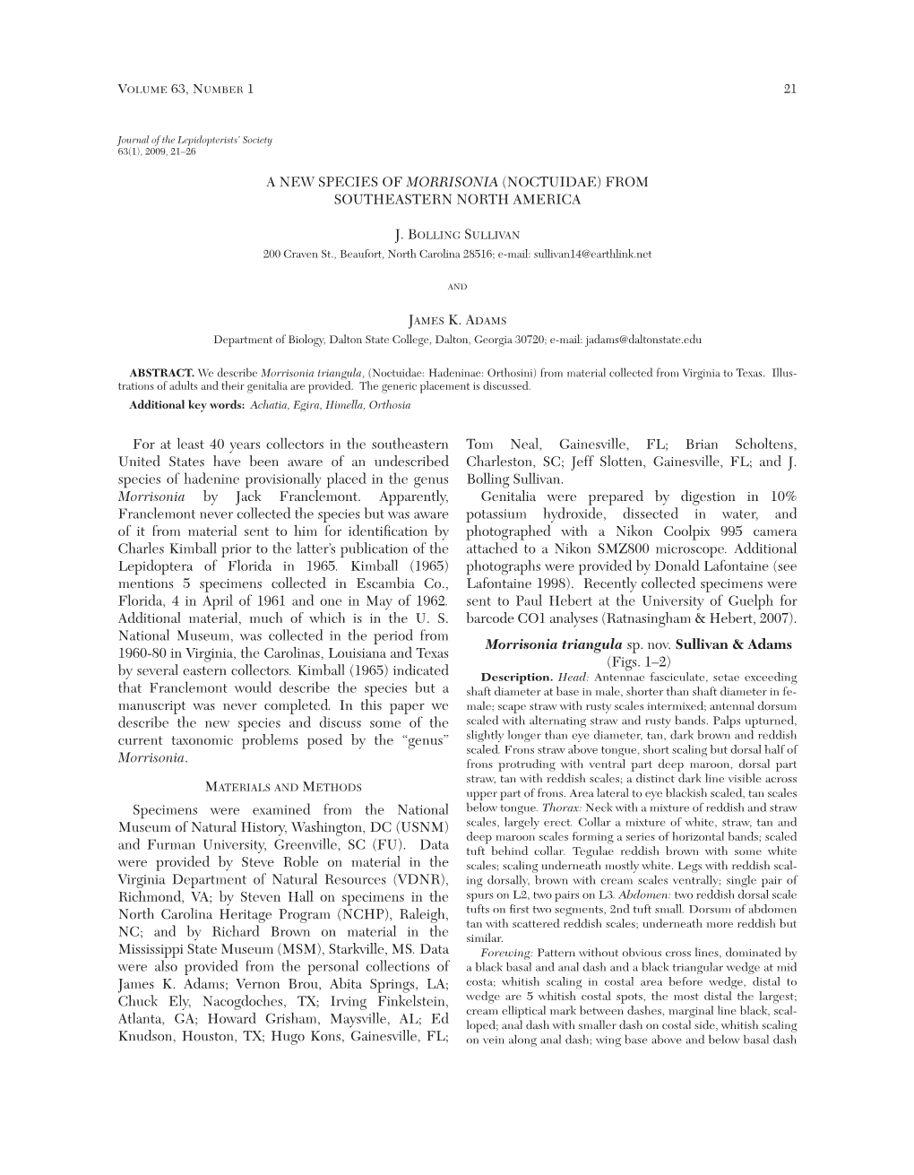 A New Species of Morrisonia (Noctuidae) from Southeastern North America