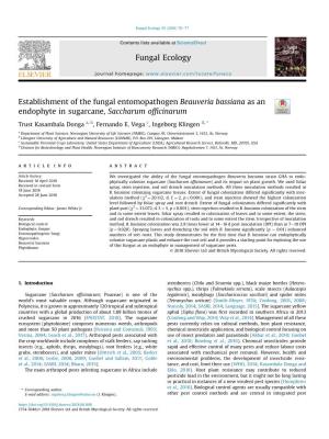 Establishment of the Fungal Entomopathogen Beauveria Bassiana As an Endophyte in Sugarcane, Saccharum Ofﬁcinarum