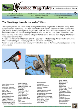 Werribee Wagtails Newsletter No18 4.Pub