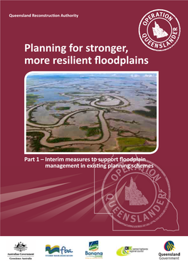 Planning for Stronger More Resilient Floodplains