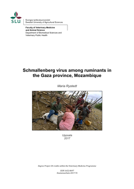 Schmallenberg Virus Among Ruminants in the Gaza Province, Mozambique