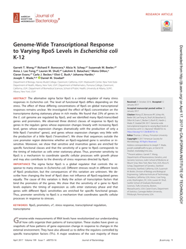 Genome-Wide Transcriptional Response to Varying Rpos Levels