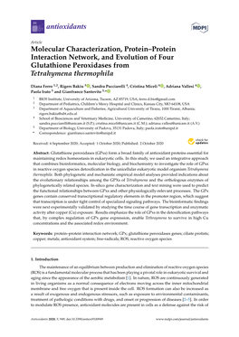 Molecular Characterization, Protein–Protein Interaction Network, and Evolution of Four Glutathione Peroxidases from Tetrahymena Thermophila